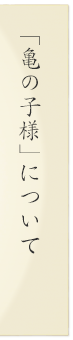 「亀の子様」について　おまけ