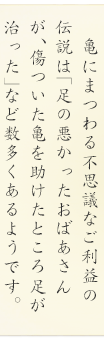 亀にまつわる不思議なご利益の伝説は「足の悪かったおばあさんが、傷ついた亀を助けたところ足が治った」など数多くあるようです。